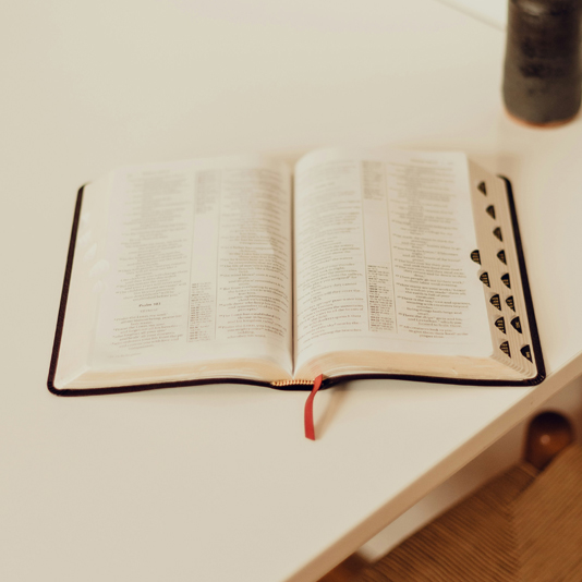 534-RECOMENDADOS corta